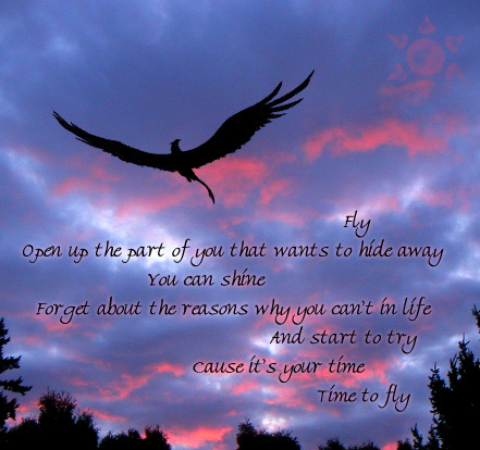 fly1.jpg