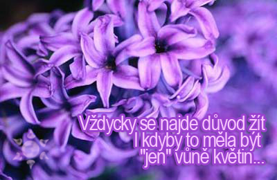 vůně květin.jpg