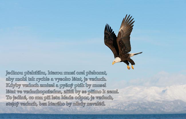 eagle.jpg
